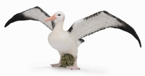 Wandering Albatross  Figurine - Large  - Collecta