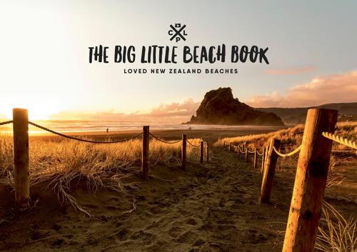 Big Little Beach Book: New Zealand Beaches Guide