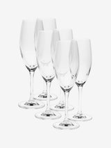 Hottie Frankie 6-Piece Champagne Flute Set