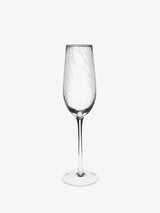 Hottie Ollie 4-Piece Champagne Flute Set - Clear