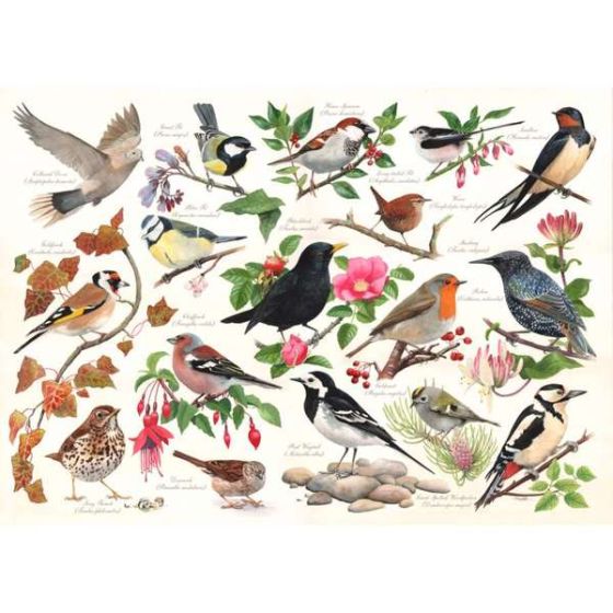 Birds In My Garden - 1000 Piece Puzzle - House of Puzzles