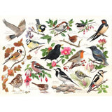 Birds In My Garden - 1000 Piece Puzzle - House of Puzzles