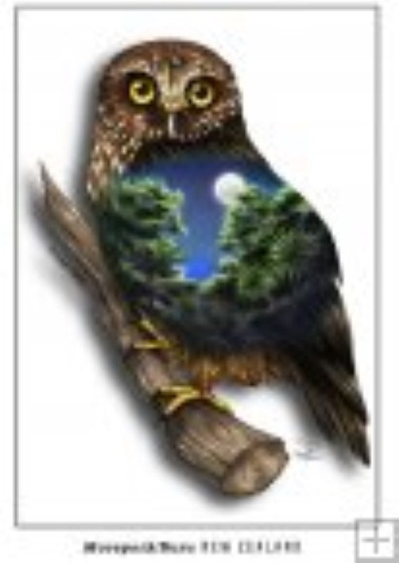 Sophie Blokker Art Postcard - Morepork