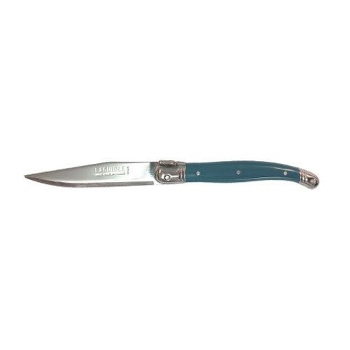 Teal Andre Verdier fruit knife featuring a comfortable grip and stainless steel blade for elegant fruit preparation.