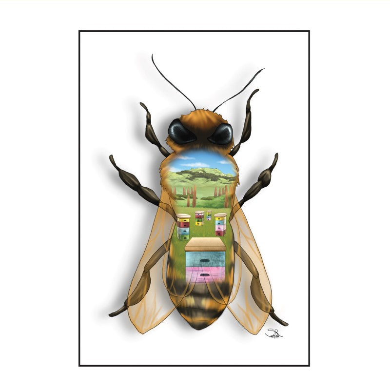 BEE - Sophie Blokker Greetings Card - Honey Bee