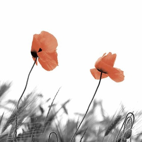 Luncheon Napkin -Two Poppies