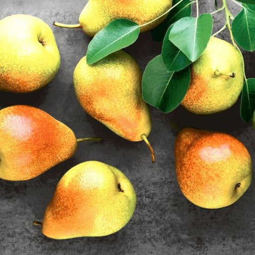 Luncheon Napkin - Fresh Pears