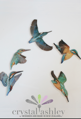 Printed ACM  Kingfisher / Bird Set - Wall Art