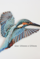 Printed ACM  Kingfisher / Bird Set - Wall Art