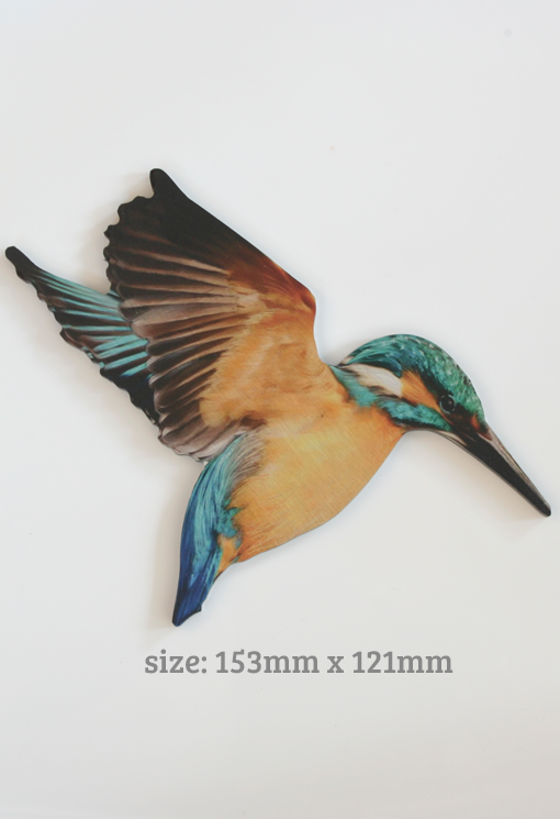 Printed ACM  Kingfisher / Bird Set - Wall Art