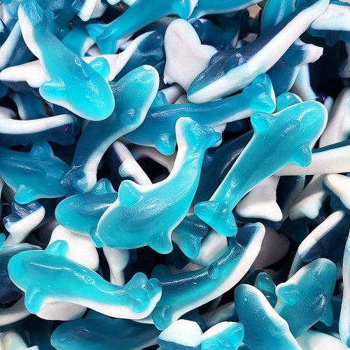 Kiwi Delights Gummy Blueberry Dolphin ( 2kg Bag )