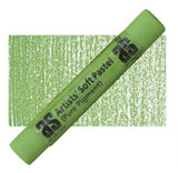 Artist Pastel - As Pastels Grass Green N 573