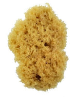 Artist Brush - Royal 2006 3" Sea Wool Sponge