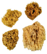 Royal Sponge Assortment with 3 textured sea wool sponges and 1 jumbo sponge for versatile painting techniques.