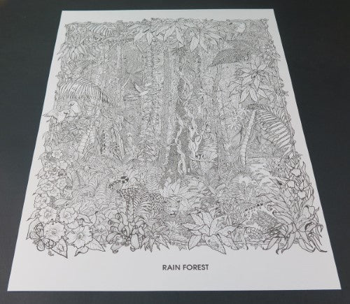 Cool Art Doodle Poster - Rainforest