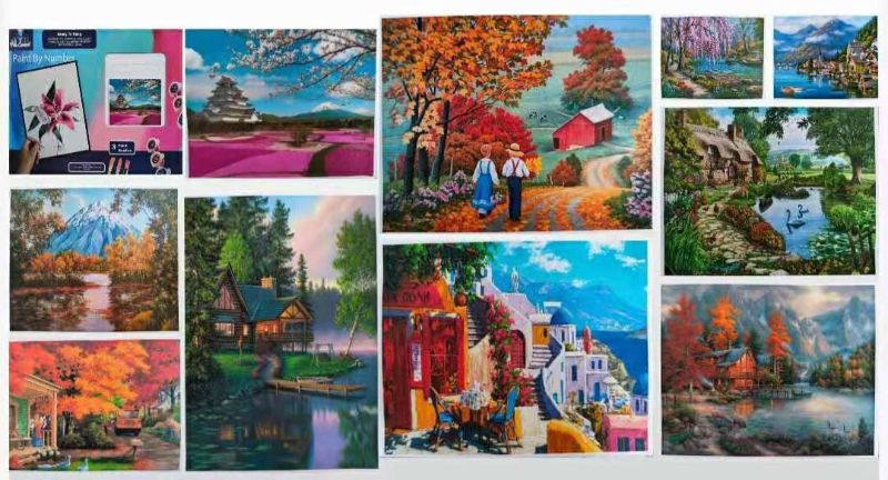 PAINT BY NUMBER - #1 40CM (Set of 6)