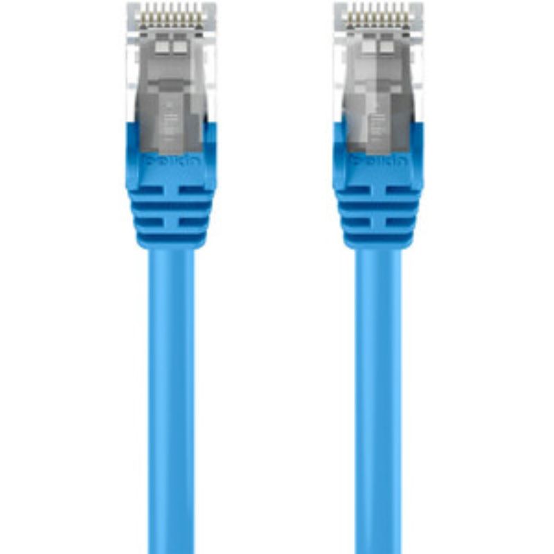 Buy Belkin Cat.6 Patch UTP Network Cable 2m - Blue High-Speed Ethernet Cable for Networking