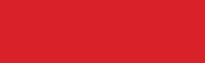 IDYE - JACQUARD TRUE RED 411 (14g)