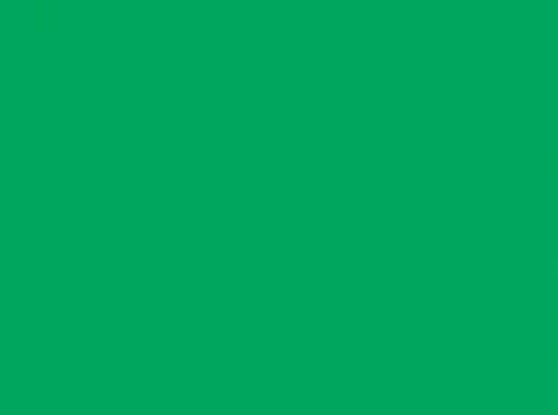 PROCION MX DYE - JACQUARD BRIGHT GREEN 097 (18.71g)