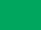 PROCION MX DYE - JACQUARD BRIGHT GREEN 097 (18.71g)
