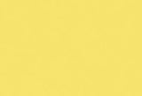 Dye - JACQUARD SILK GREEN LABEL CITRON 701 (59.15ml)