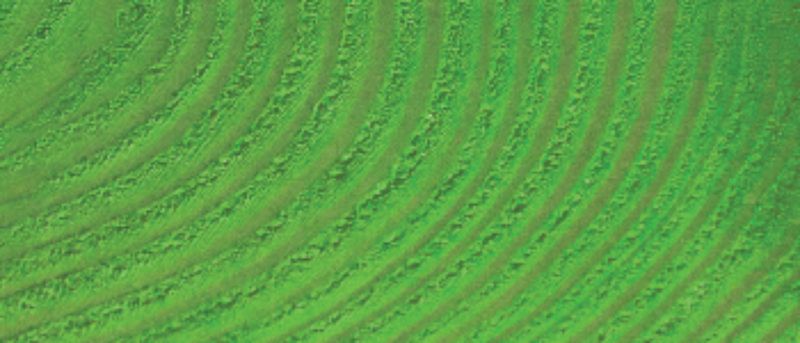 BASIC DYE - JACQUARD GREEN (14.17G)