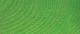 BASIC DYE - JACQUARD GREEN (14.17G)
