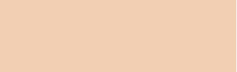 AIRBRUSH Paint - JACQUARD TANNED LEATHER 456 (118.29ml)