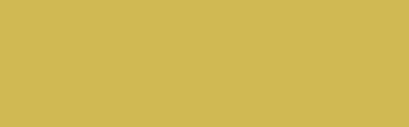 Fabric Paint - JACQUARD DYE NA FLOW SULPHUR GREEN (66.54ml)