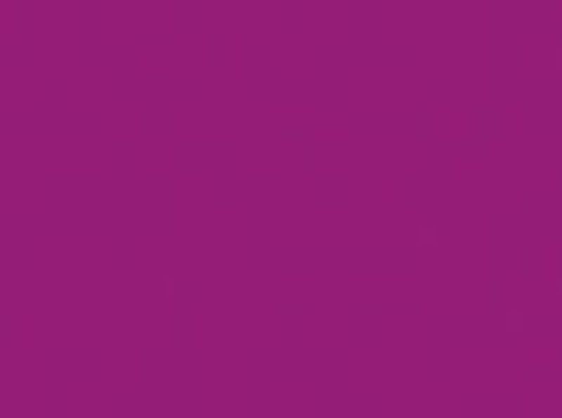 PROCION MX DYE - JACQUARD RASPBERRY 042 (450g)