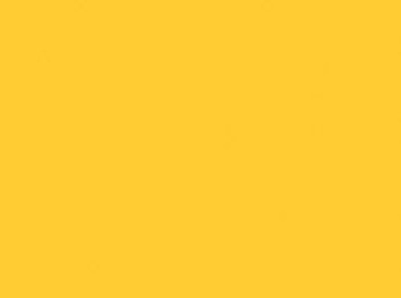 PROCION MX DYE - JACQUARD GOLDEN YELLOW 010 (18.71g)