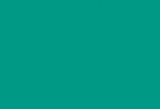 Dye - JACQUARD SILK GREEN LABEL VIRIDIAN GREEN 736 (59.15ml)