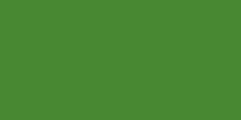 ALCOHOL INK - JACQUARD PINATA LIME GREEN 021 (118.29ml)
