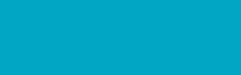 Fabric Paint - JACQUARD DYE NA FLOW TURQUOISE 813 (66.54ml)