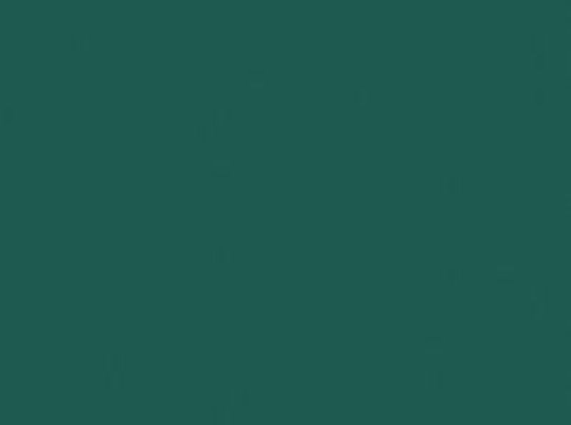 PROCION MX DYE - JACQUARD FOREST GREEN 086 (18.71g)