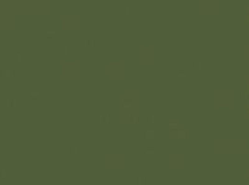 PROCION MX DYE - JACQUARD OLIVE GREEN 105 (18.71g)
