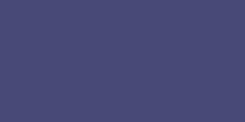 NEOPAQUE Paint - JACQUARD VIOLET 586 (66.54ml)