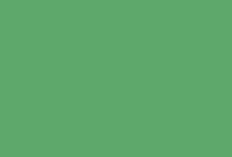 Dye - JACQUARD SILK GREEN LABEL KELLY GREEN 735 (59.15ml)