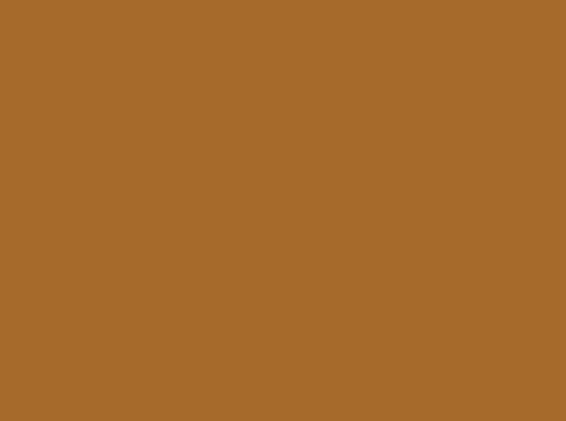 PROCION MX DYE - JACQUARD BRONZE 106 (18.71g)