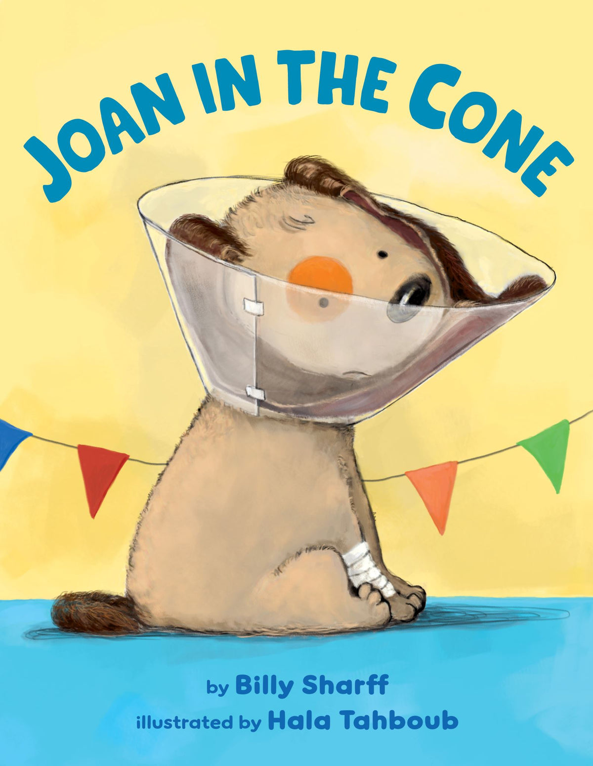 Joan In the Cone