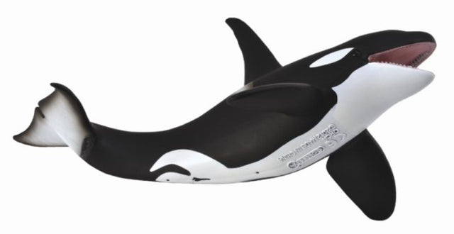 19cm Orca XL Figurine, capturing the beauty of orcas for home decor and educational purposes.