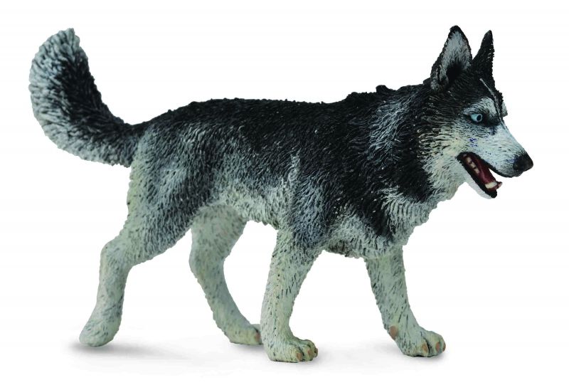 Hand-painted 10.5cm Siberian Husky figurine made from durable, non-toxic PVC, perfect for collectors and dog lovers.