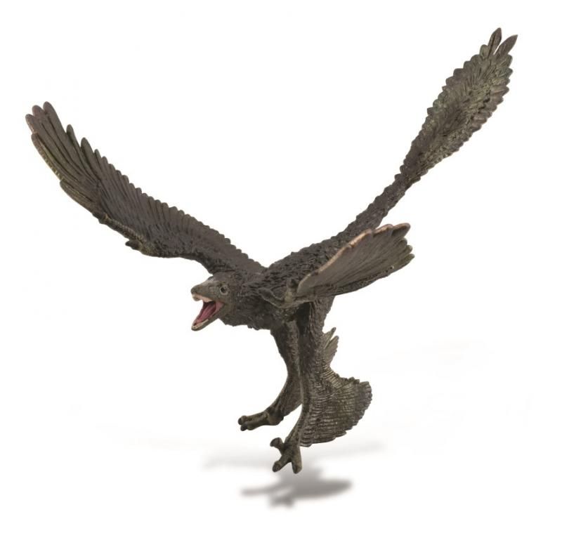 Figurine - Microraptor (20cm) - CollectA