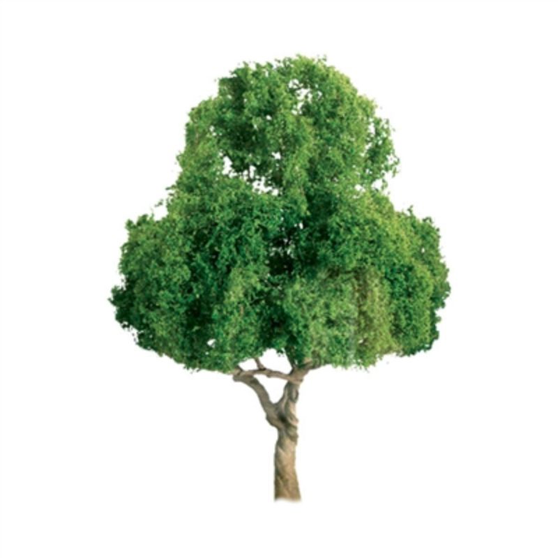 A set of four 25-38mm deciduous model trees for enhancing scenic layouts and dioramas.