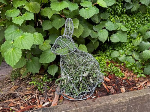 Topiary Plant Training Frame Rabbit 18 x 29 x 39cm