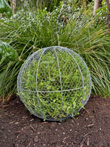 Topiary Plant Training Frame Ball Large 41 x 41 x 39cm