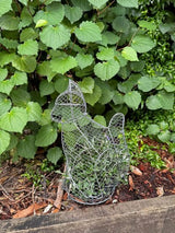 Topiary Plant Training Frame Cat 19 x 28 x 40cm