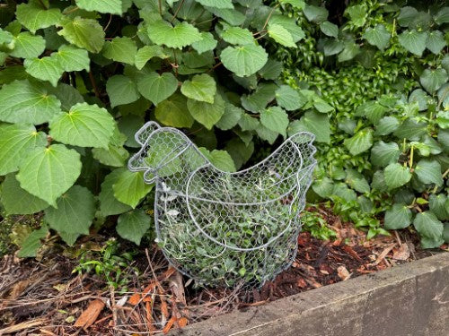 Topiary Plant Training Frame Chicken 21 x 37 x 33cm