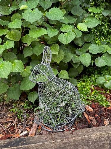 Topiary Plant Training Frame Rabbit 18 x 29 x 39cm