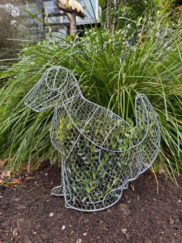 Topiary Plant Training Frame Dog 19 x 38 x 38cm